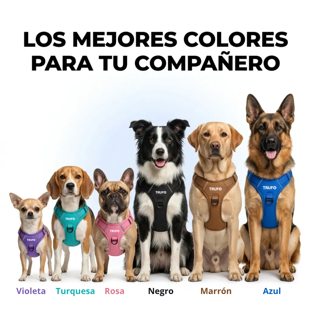 Arnés Antitirones para Perros