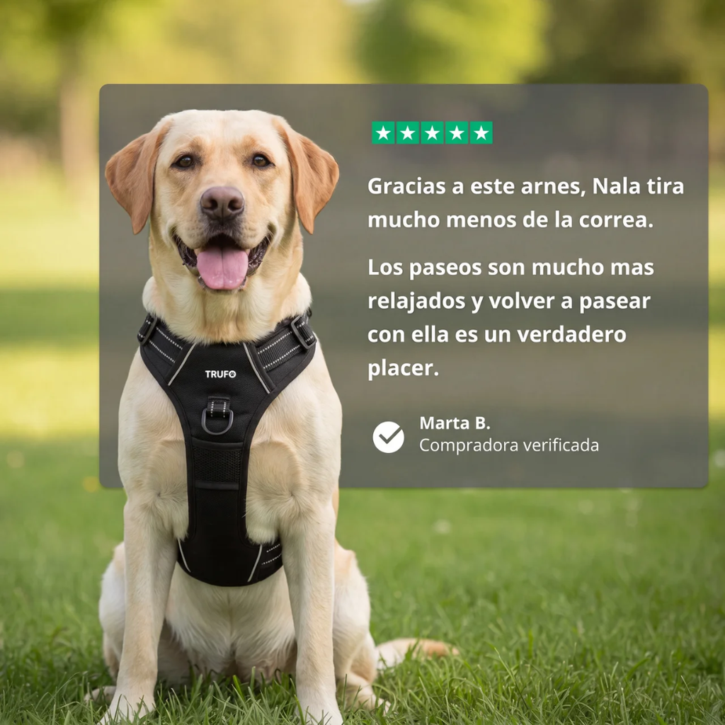 Arnés Antitirones para Perros