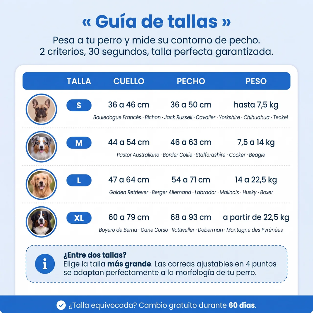 Arnés Antitirones para Perros