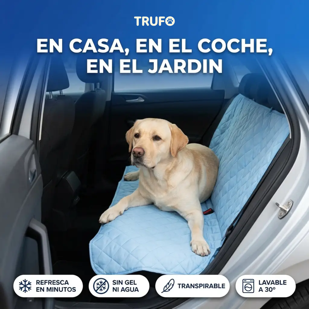 Alfombrilla Refrescante para Perros